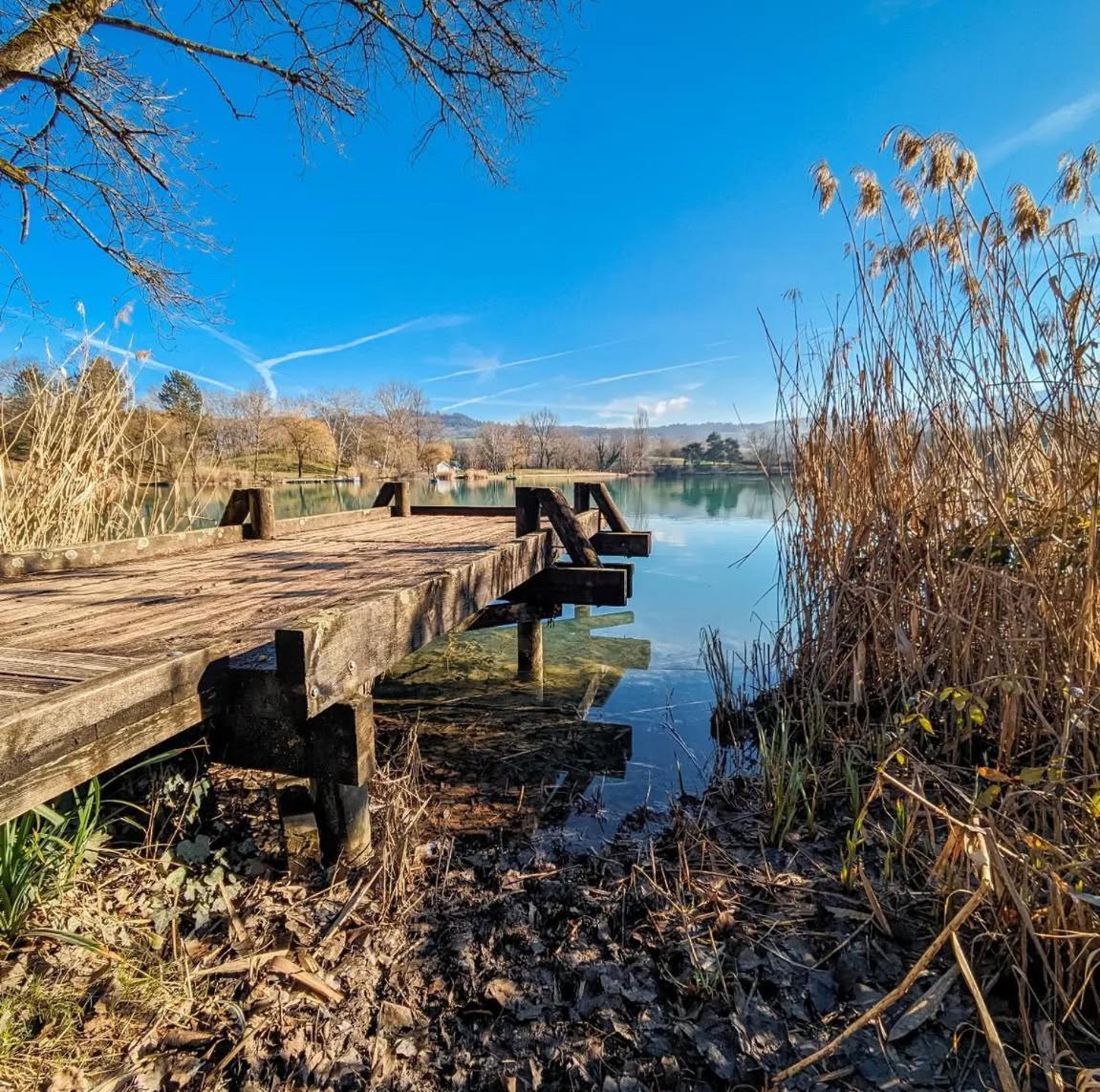 Studio Entre Lacs Et Montagnes Rumilly  Exterior foto